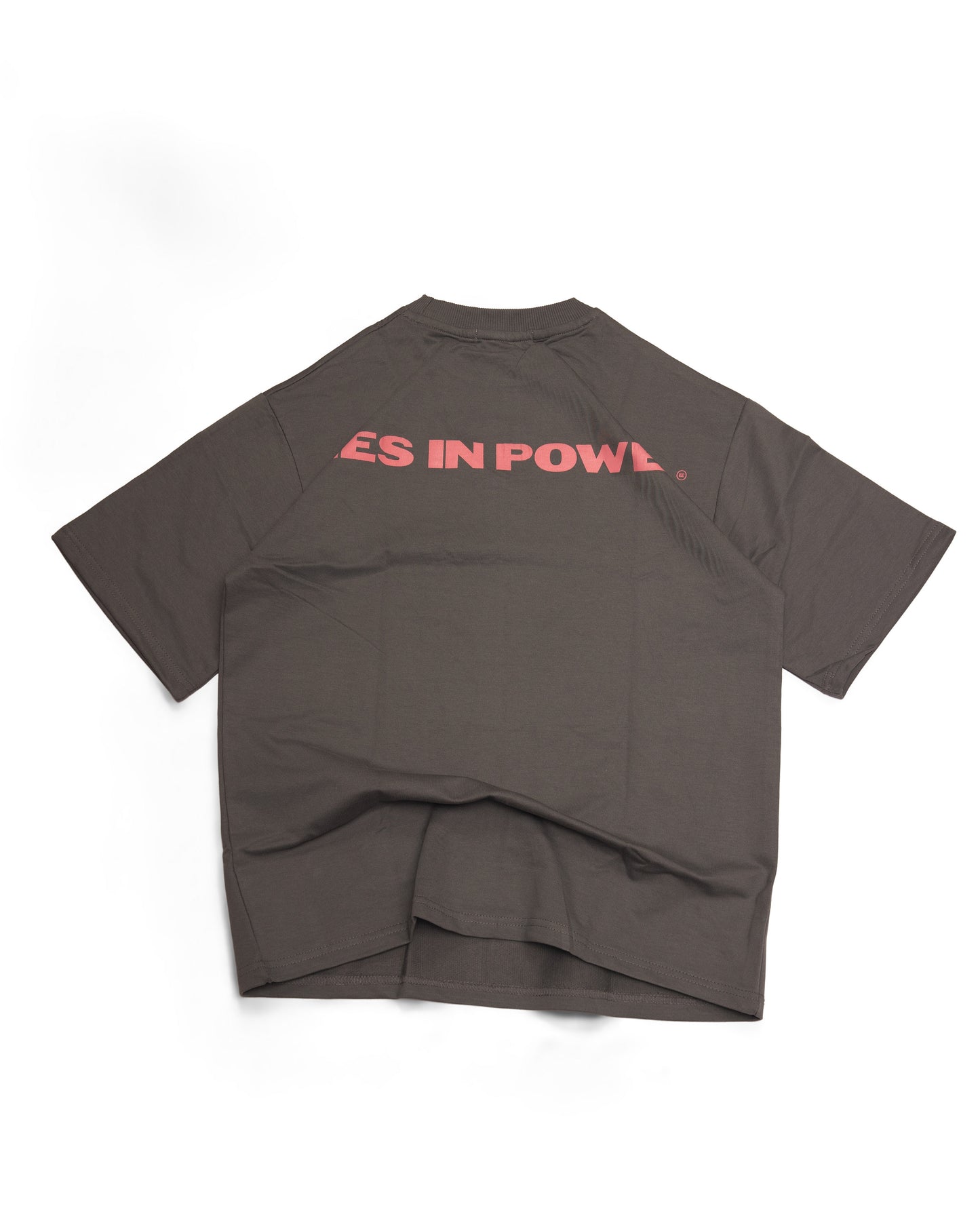 LIES IN POWER T-SHIRT IN GREY